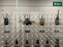 -国家自然博物馆