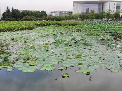 -南京医科大学(江宁校区)