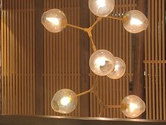 -WILDS 野有食(碧坞店)