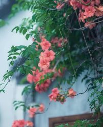 -Lily纤美·科技减脂中心