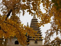 -北京石刻艺术博物馆(五塔寺)