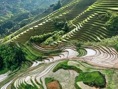 -龙脊梯田