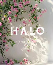 -Halo FLY运动空间