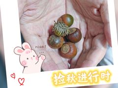 -上海佘山国家森林公园天马山园