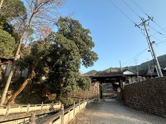 -楠溪江风景名胜区