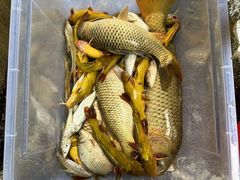 -郴州特产舜华临武鸭(郴州西站店)