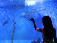 -太平洋海底世界