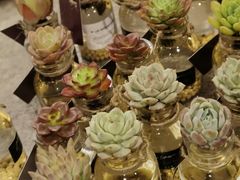 -半山腰·云南菜(侨福芳草地店)