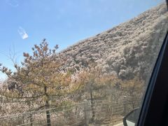 -妙峰山风景名胜区