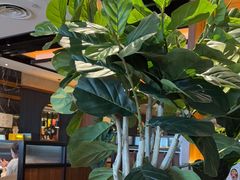 -半秋山西餐厅(宜昌大洋店)