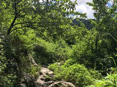 -抱龙峪