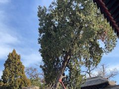 -莲池书院博物馆