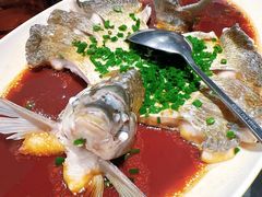 葱油有机武昌鱼-知楚•精致湖北菜(武商MALL店)