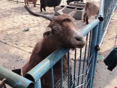 -祥源·阜阳生态乐园