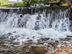 -长白岛森林公园