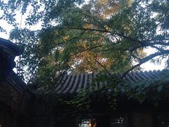 -花家怡园(四合院总店)