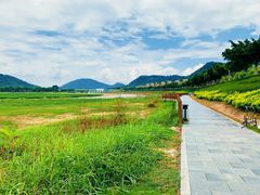 -风云岭森林公园