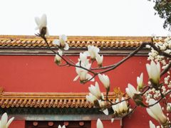 -北京市劳动人民文化宫(太庙)