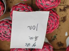 -龙大花卉苗木市场