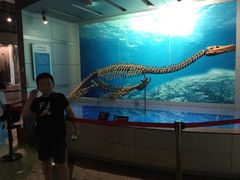 -自贡恐龙博物馆