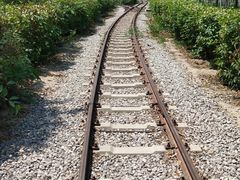 -西青郊野公园