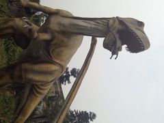 iphone_upload_pic-自贡恐龙博物馆