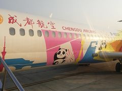 -威海大水泊国际机场