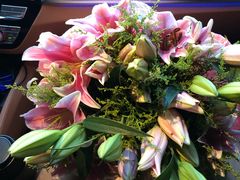 -上海浦东星河湾酒店