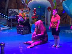 -烟台海昌鲸鲨海洋公园