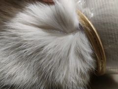 -萌兽医馆·犬猫专科·眼科中心·宠物医院(朝阳门分院)