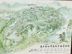 -铁山坪森林公园