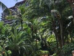 -三亚湾海居铂尔曼度假酒店