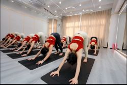 -亚太瑜伽普拉提学院