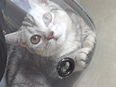 -瑞派福兴宠物医院犬猫全科·骨科·中西医结合(河东店)