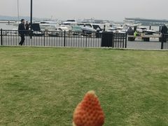 -南沙游艇会·大兵船餐厅