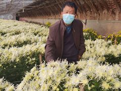 -华强阁菊花宴自助火锅店