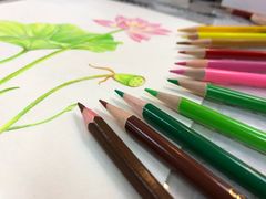 -蒂朵儿童绘画美术教室