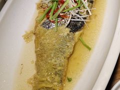 -院里汤包·虾汤包青岛菜(辽源路店)