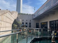 -陕西自然博物馆