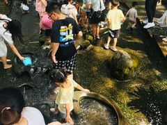 -成都市活水公园