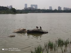 -海珠湖公园