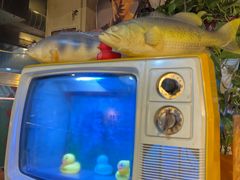 -永安里地摊烤肉(首创店)