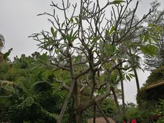 -厦门日月谷温泉渡假村