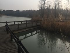 -梁鸿国家湿地公园