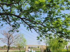 -漕湖湿地公园