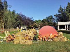 -春晖园度假酒店温泉