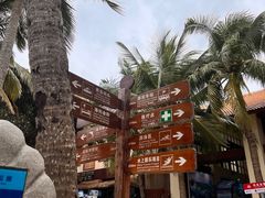 -海南分界洲岛旅游区