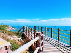 -广东惠东海龟国家级自然保护区