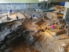 -自贡恐龙博物馆