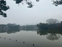 -江心屿景区